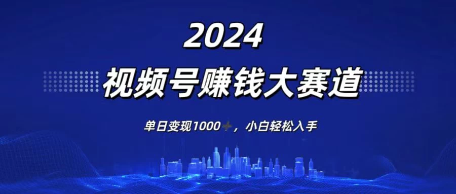 2024视频号赚钱大赛道，单日变现1000+，小白轻松入手 - 天能资源