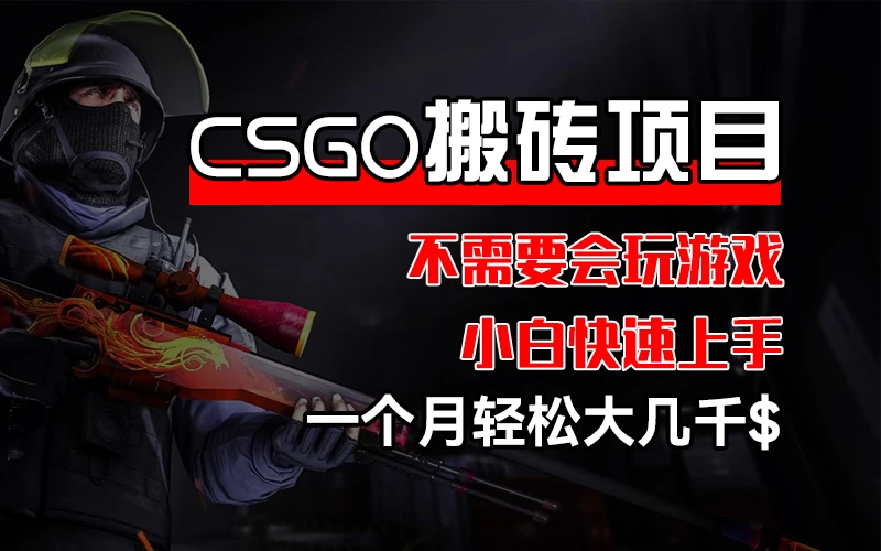 CSGO 装备搬砖项目，操作简单，不需要会玩游戏，小白也能快速上手，一个月轻松大几千 - 天能资源
