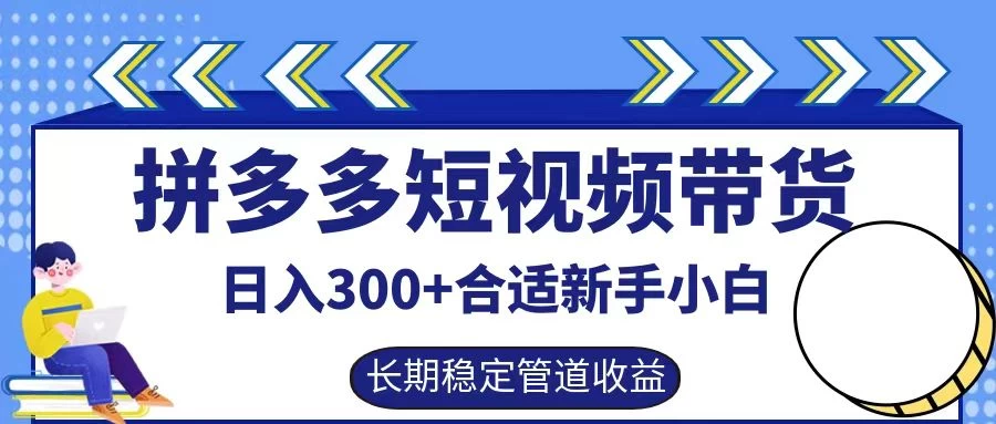 拼多多短视频带货日入300+保姆级实操账户展示 - 天能资源