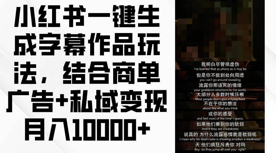 小红书一键生成字幕作品玩法，结合商单广告+私域变现月入10000+ - 天能资源