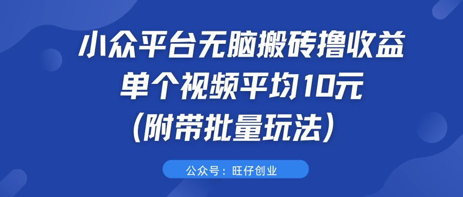 小众平台无脑搬砖撸收益，单个视频平均10元 (附带批量玩法） - 天能资源