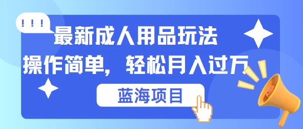 最新成人用品项目玩法，操作简单，蓝海项目轻松月入过万 - 天能资源