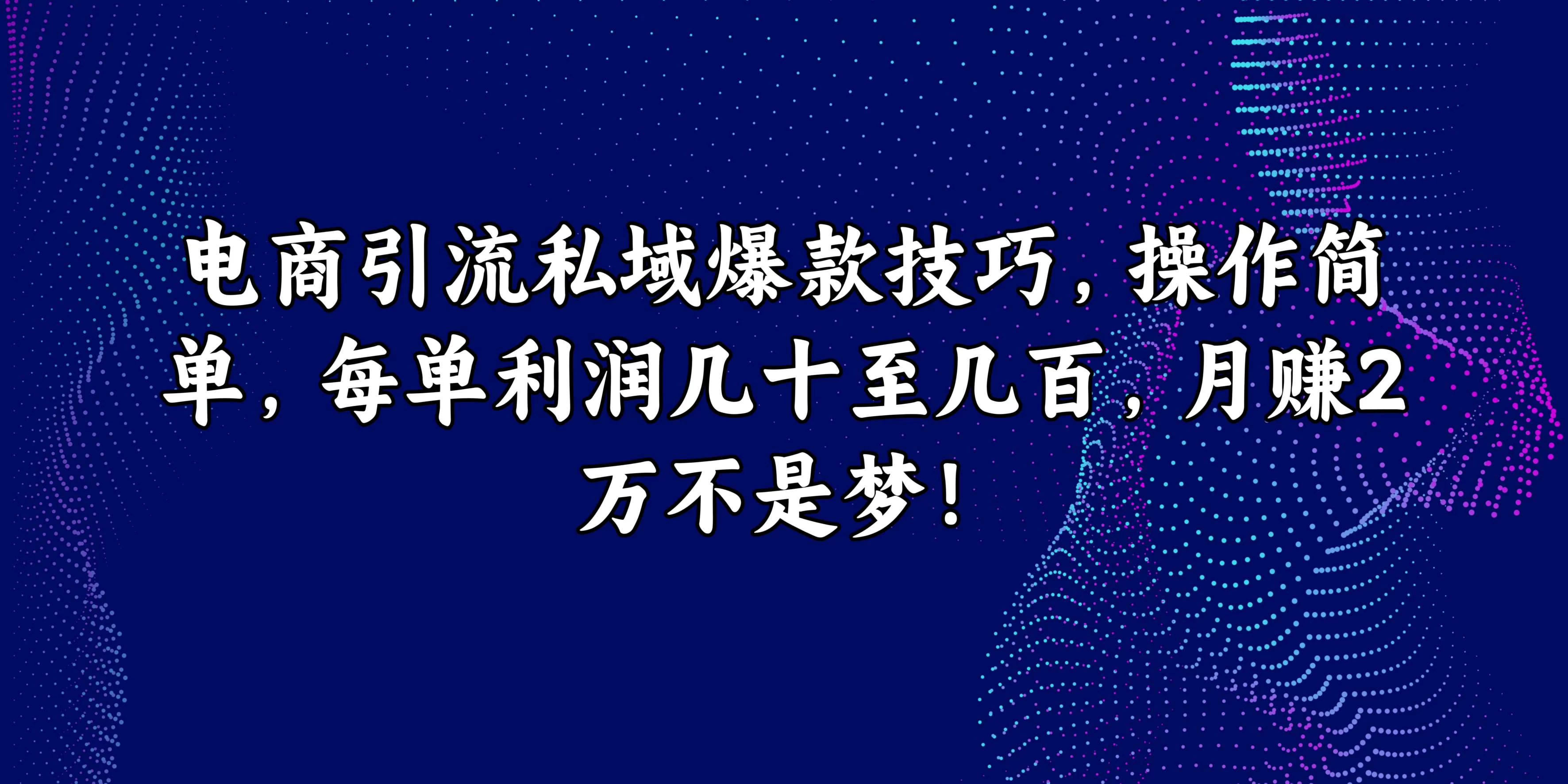 电商引流私域爆款技巧，操作简单，每单利润几十至几百，月赚2万不是梦！ - 天能资源
