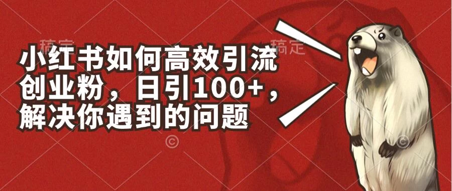 小红书如何高效引流创业粉，日引100+，解决你遇到的问题 - 天能资源