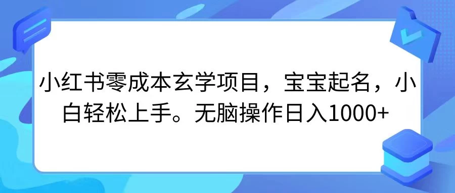 小红书零成本玄学项目，宝宝起名，小白轻松上手，无脑操作日入1000+ - 天能资源