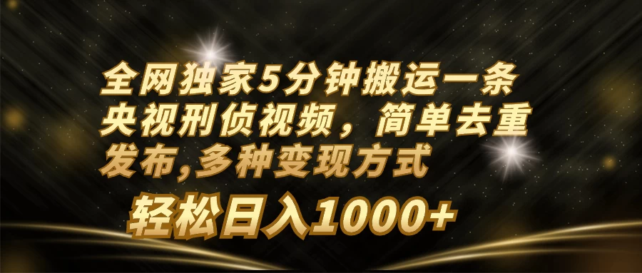 全网独家5分钟搬运一条央视刑侦视频，简单去重发布，多种变现方式，轻松日入1000+ - 天能资源