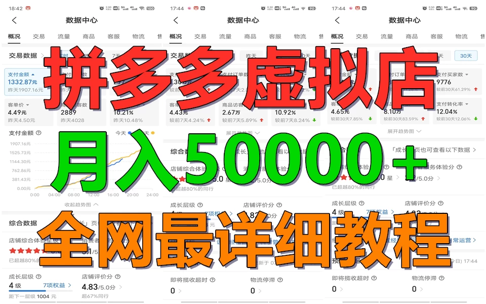拼多多虚拟电商月入50000+你干你也行，暴利稳定长久，副业首选 - 天能资源