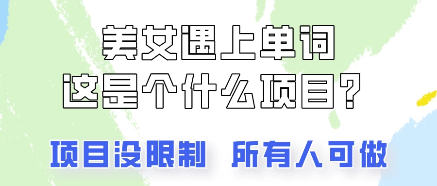 2024美女号单词暴力玩法，上手非常简单，轻松日收入500+ - 天能资源