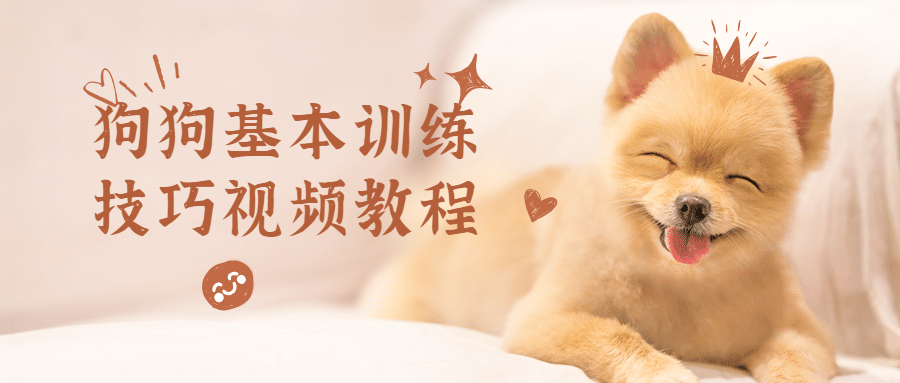 狗狗基本训练技巧视频教程 - 天能资源