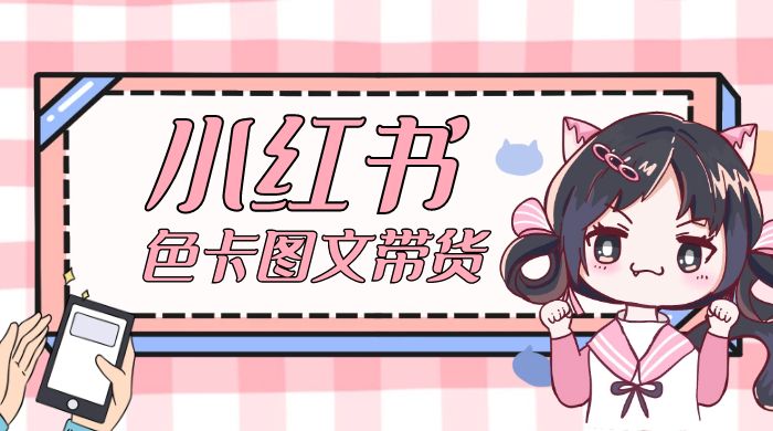 小红书色卡图文带货流量引爆单人月入 20W+ - 天能资源