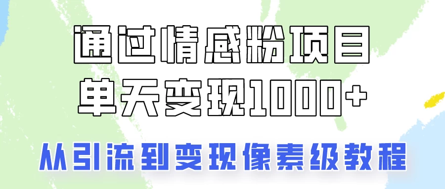我是怎么通过情感粉项目单天变现1000+的，从引流到变现像素级教程 - 天能资源
