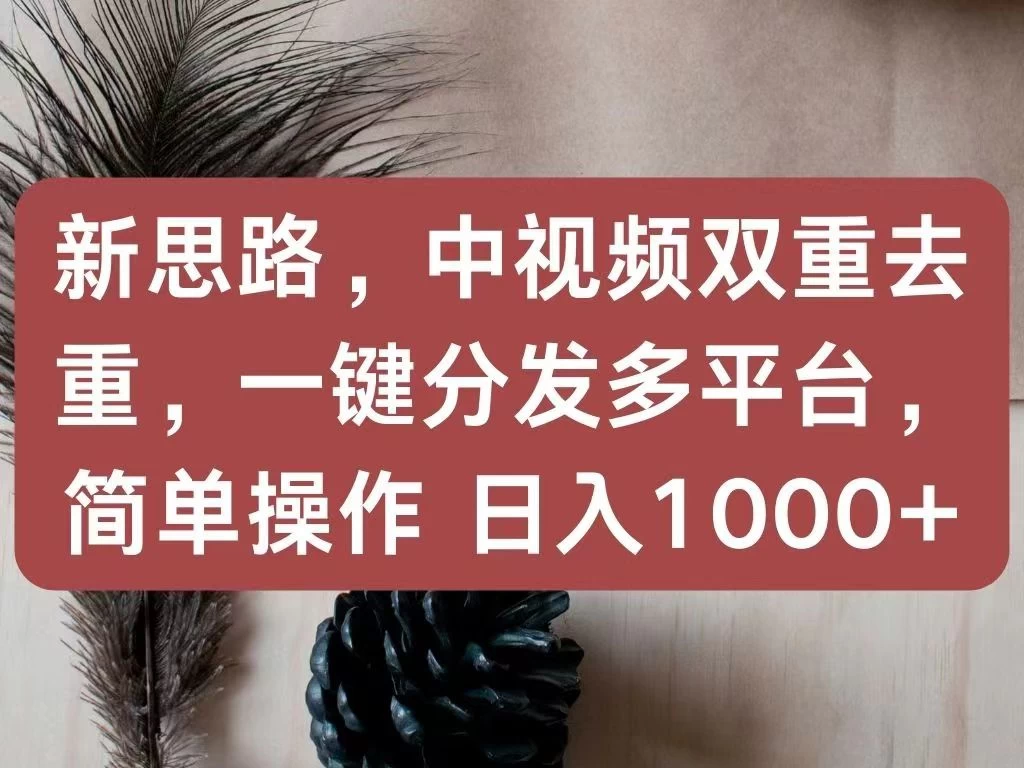 新思路，中视频双重去重，一键分发多平台，简单操作，日入1000+！快来试试吧！ - 天能资源
