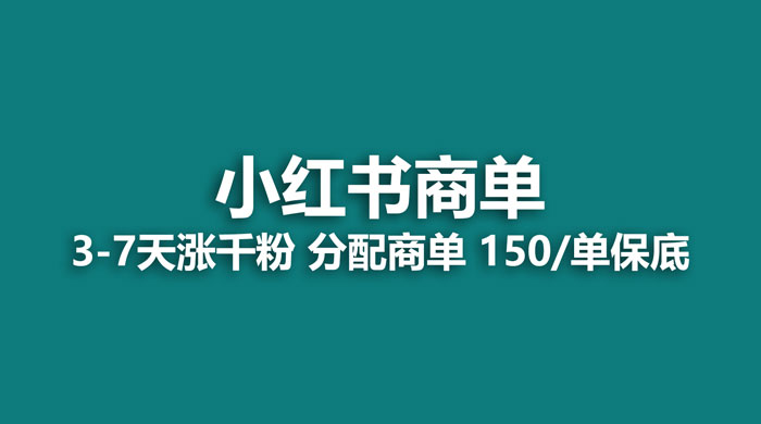 2023最强蓝海项目，小红书商单项目，没有之一 - 天能资源