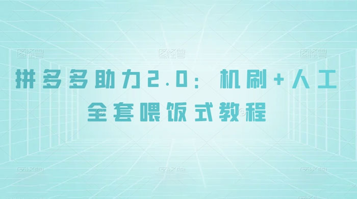 拼夕夕助力 2.0 新玩法：机刷+人工全套交付，喂饭式教程 - 天能资源