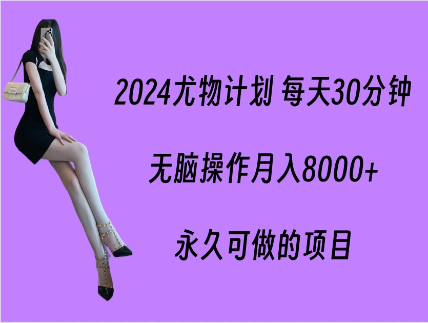 2024尤物计划 每天30分钟，无脑操作月入8000+，永久可做的项目 - 天能资源