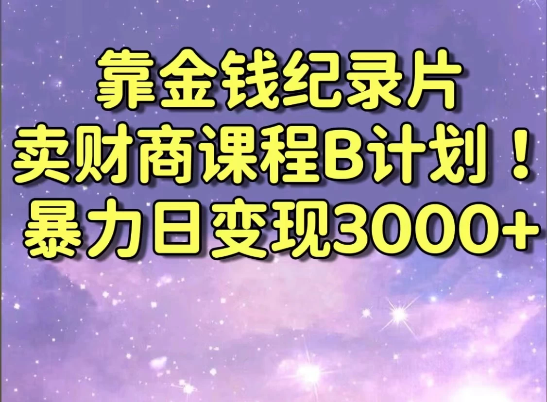 靠金钱纪录片卖财商课程，暴力日变现3000+，喂饭级干货教学！！ - 天能资源