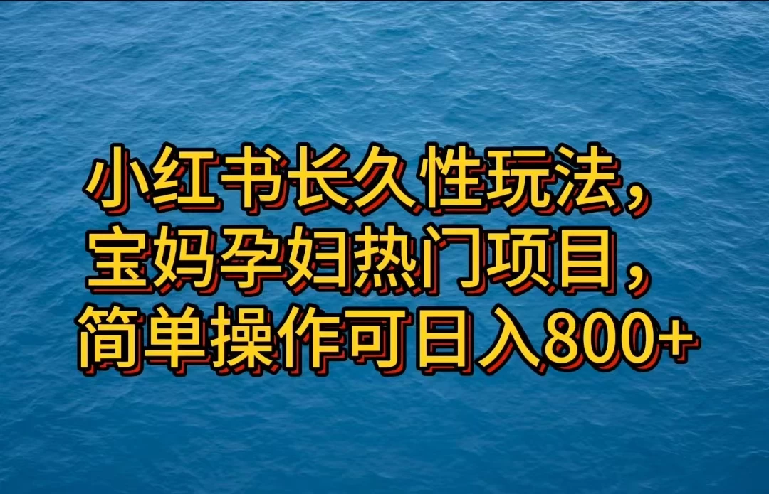 小红书长久性玩法，宝妈孕妇热门项目，简单操作可日入800+ - 天能资源