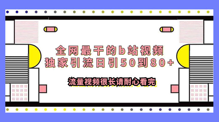 全网最干的 B 站视频独家引流，日引 50~80+ 流量 - 天能资源