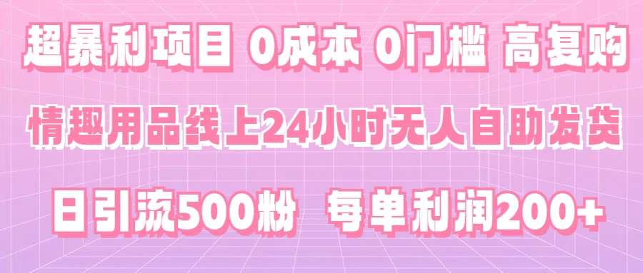 超暴利项目，情趣用品线上24小时-无人自助发货，0成本，0门槛，高复购，有手就能做，日引500粉，每单利润200+ - 天能资源