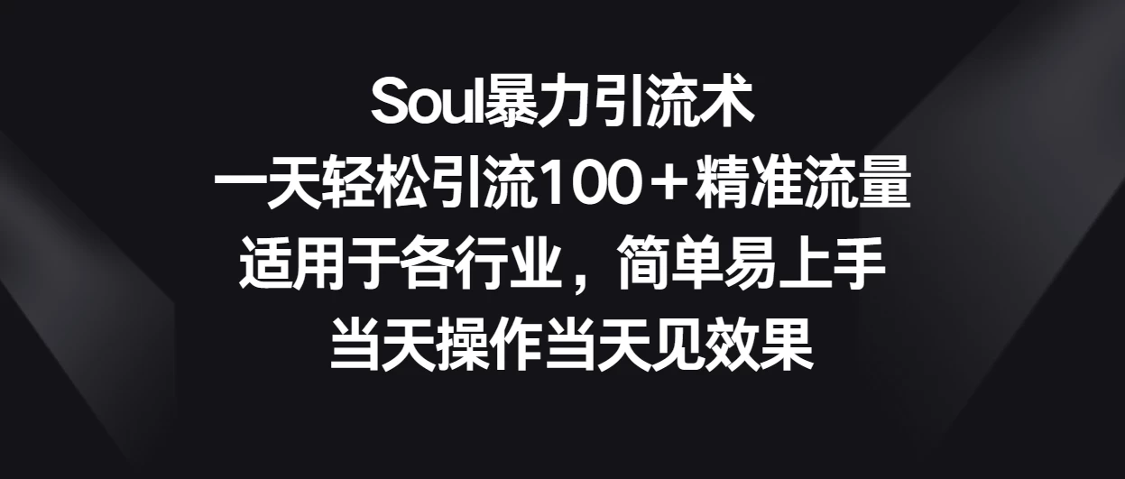 Soul暴力引流术，一天轻松引流100＋精准流量，适用于各行业，简单易上手 当天操作当天见效果 - 天能资源