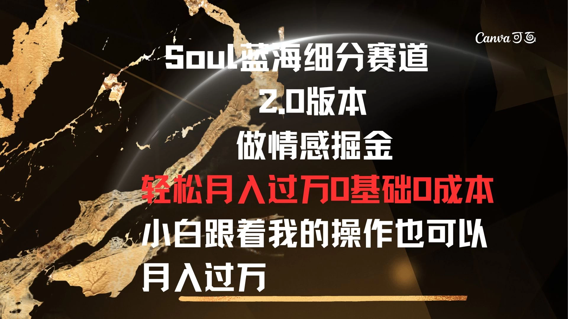 Soul蓝海细分赛道，2.0版本，做情感掘金，轻松月入过万，0基础，0成本，小白跟着我的操作也可以月入过万 - 天能资源