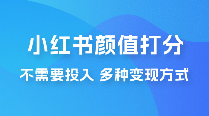 小红书颜值打分新玩法，不需要投入，适合所有人的一份副业，多种变现方式！ - 天能资源