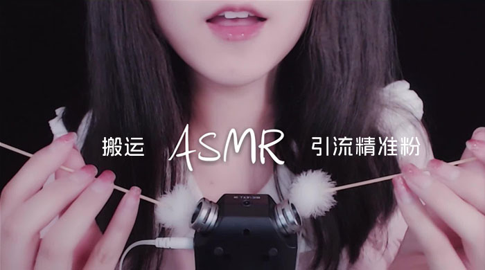 靠搬运 ASMR 视频，引流精准粉，私域单日变现 500+ - 天能资源