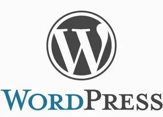 WordPress v6.0.2 中文正式版发布及优化代码 - 天能资源