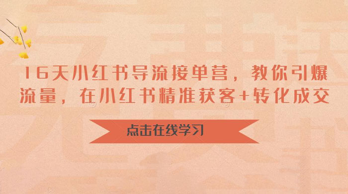 16 天小红书导流接单营：教你引爆流量，在小红书精准获客+转化成交 - 天能资源