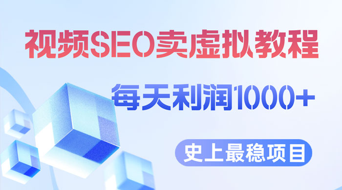 视频 SEO 出售虚拟产品：史上最稳定私域变现项目 - 天能资源
