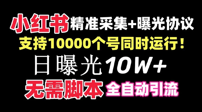 价值 10 万的小红书全自动采集+引流协议一体版！无需手机，支持 10000 个账号同时运行 - 天能资源