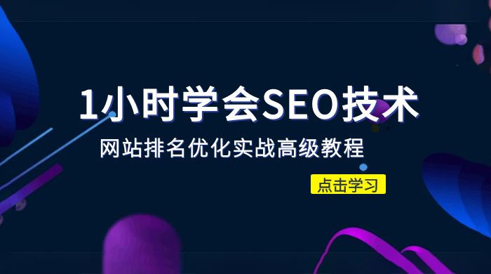 1 小时学会 SEO 技术：网站排名优化实战高级教程，秒杀市面 95% 收费几千的 SEO 教程 - 天能资源