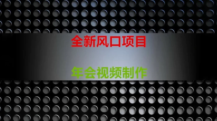 年会视频制作项目，全新风口 - 天能资源