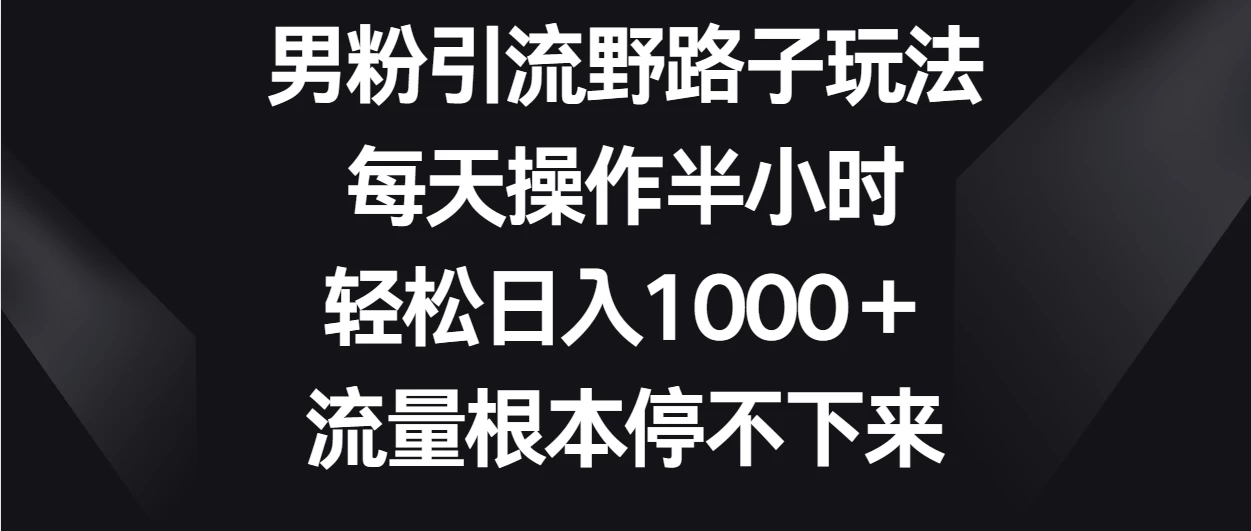 男粉引流野路子玩法，每天操作半小时轻松日入1000＋，流量根本停不下来 - 天能资源