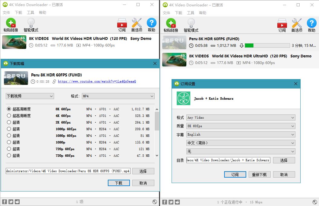4K Video Downloader v4.19.4 Build 4720 - 天能资源