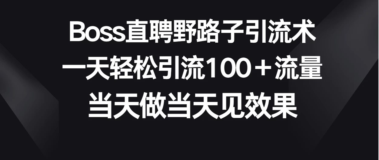 Boss直聘野路子引流术，一天轻松引流100+流量，当天做当天见效果 - 天能资源