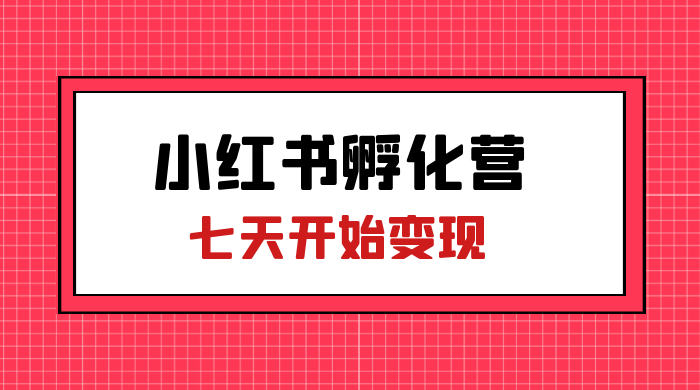 价值 2000+ 的小红书孵化营项目，超级大蓝海，七天即可开始变现，稳定月入 1W+ - 天能资源