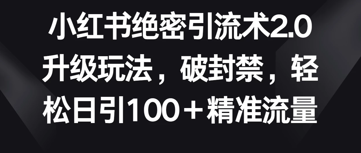 小红书绝密引流术2.0升级玩法，破封禁，轻松日引100＋精准流量 - 天能资源