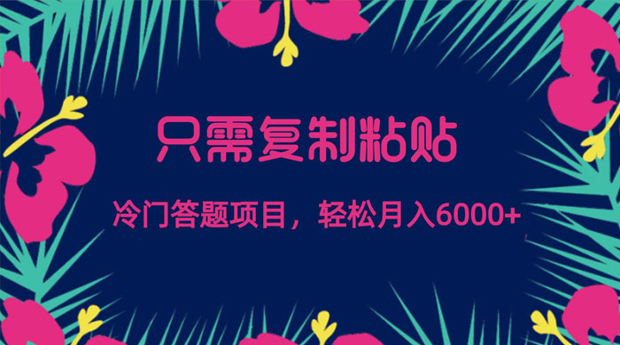 只需复制粘贴，冷门答题项目，轻松月入 6000 - 天能资源