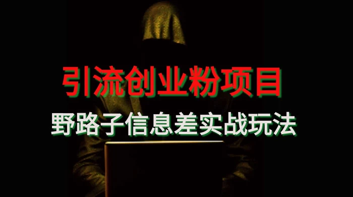 野路子信息差玩法实战教学，引流创业粉 - 天能资源