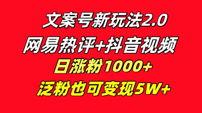 文案号新玩法，网易热评+抖音文案 一周轻松涨粉 5W+ 多种变现模式 - 天能资源