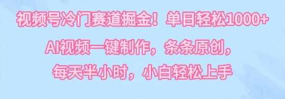 视频号冷门赛道掘金！单日轻松1000+，AI视频一键制作，条条原创，每天半小时，小白轻松上手 - 天能资源