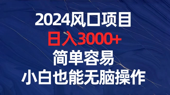 2024 风口项目，日入 3000+，简单容易，小白也能无脑操作 - 天能资源