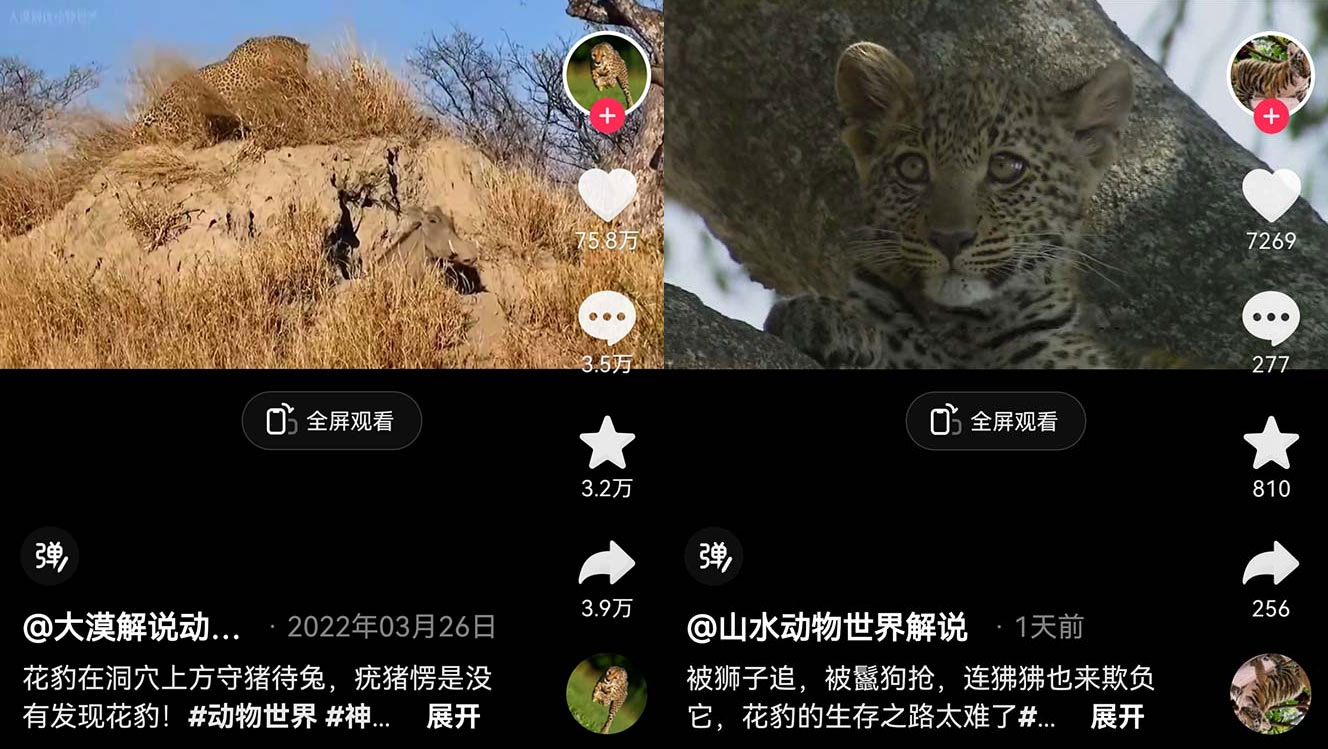 外面卖 1699 的国外纪录片解说：动物、美食、动画片解说，稳过中视频 - 天能资源