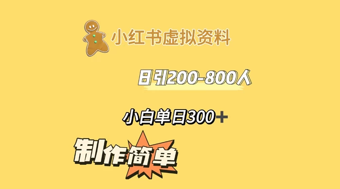 小红书虚拟资料日引 200-800 人，小白单日收益 300+ - 天能资源