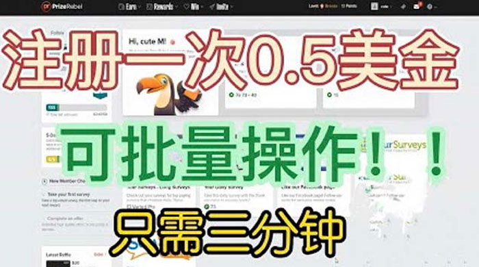 国外注册一次 0.5 美金项目：只需三分钟无脑操作、小白工作室福利 - 天能资源