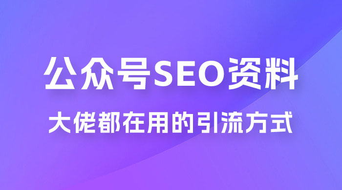 公众号 SEO 虚拟资料，操作简单，日入 500+，可批量操作 - 天能资源