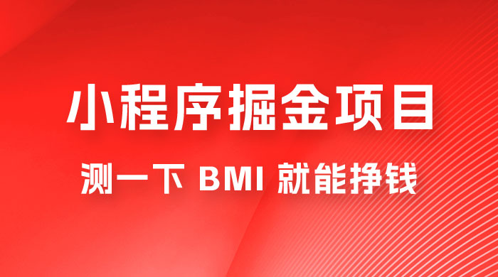 日入 300+ 的小程序掘金项目，测一下 BMI 就能挣钱 - 天能资源