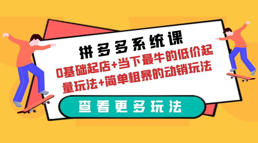 拼多多系统课：0 基础起店+当下最牛的低价起量玩法+简单粗暴的动销玩法 - 天能资源