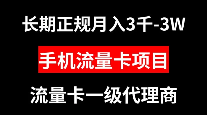 手机流量卡代理月入 3000-3w 长期正规项目 - 天能资源